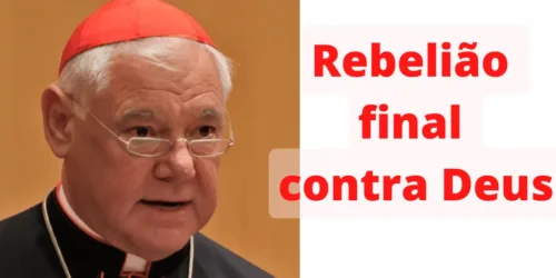 Cardeal Müller condena a ideologia transgênero