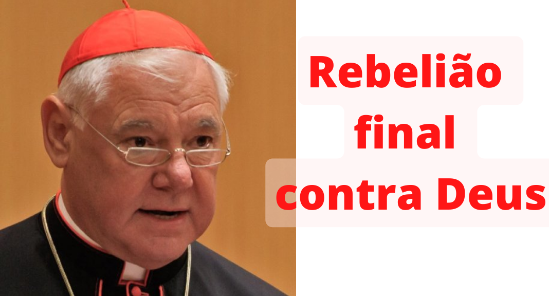 No momento, você está visualizando Cardeal Müller condena a ideologia transgênero