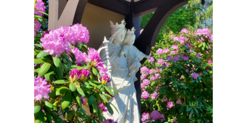 Nossa Senhora Auxiliadora