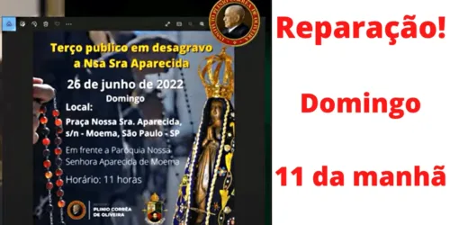 Reparação: TRANSEXUAL se fantasia de NOSSA SENHORA APARECIDA, padroeira do Brasil