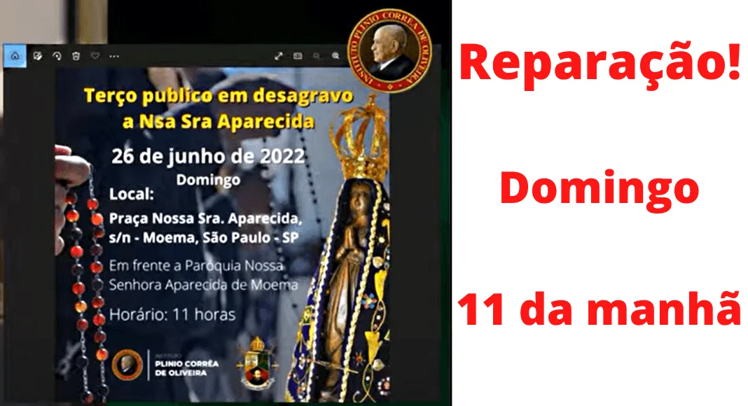 No momento, você está visualizando Reparação: TRANSEXUAL se fantasia de NOSSA SENHORA APARECIDA, padroeira do Brasil