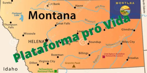 Republicanos (Montana) aprovam plataforma pró Vida: exemplo para o Brasil