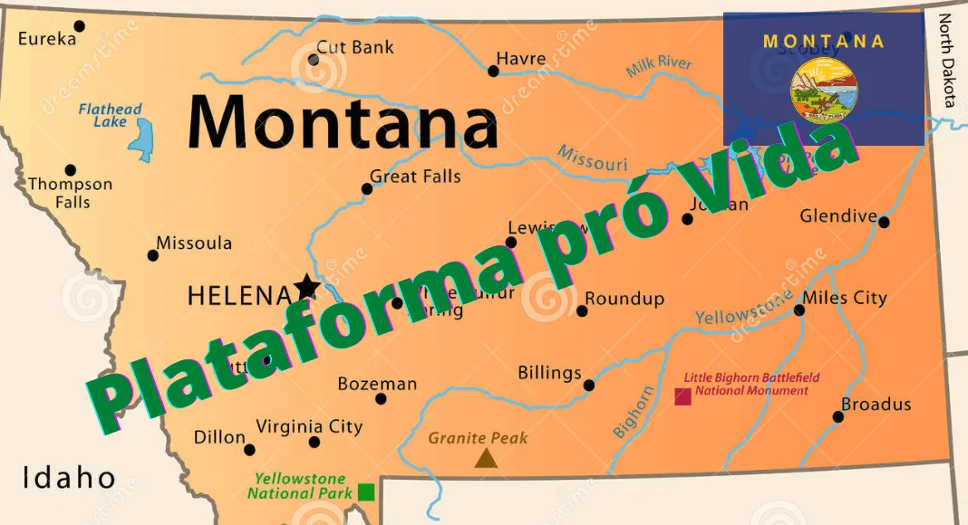 No momento, você está visualizando Republicanos (Montana) aprovam plataforma pró Vida: exemplo para o Brasil