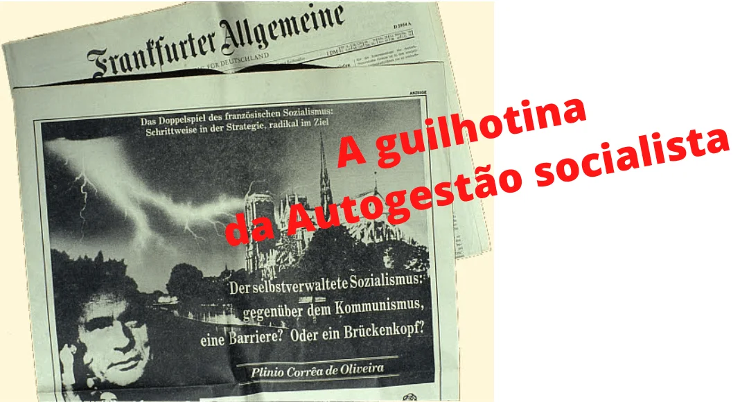 No momento, você está visualizando Breves: prêmio Nobel de economia elogia a Mensagem contra o socialismo autogestionário