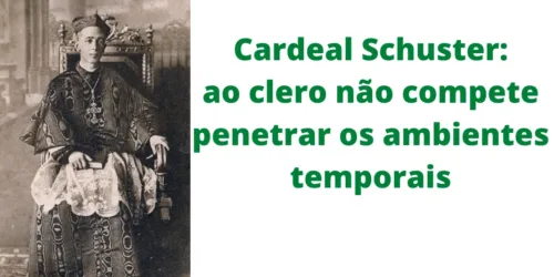 Por que o sacerdote não veste o macacão? Ação do leigo na sociedade temporal