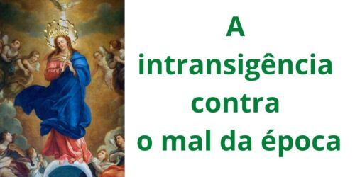 Imaculada Conceição: meditação preparatória (IV)