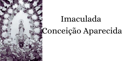 Imaculada Conceição: meditação preparatória (V)