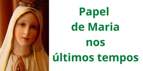 Tratado Marial de São Luís: os apóstolos dos últimos tempos (XV)