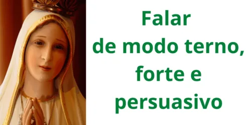 Tratado marial de São Luís: terno, forte e persuasivo (XX)