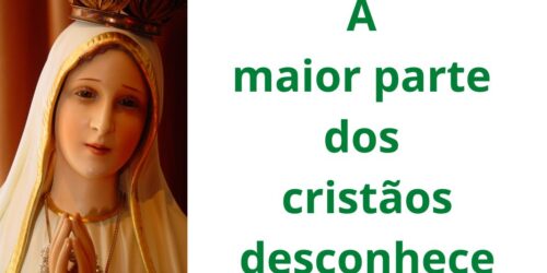 Tratado marial de São Luís: a maior parte dos católicos desconhece (XIX)