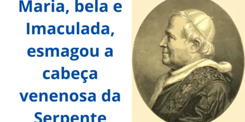 Pio IX, modelo de Papa que promove o bem e combate o mal