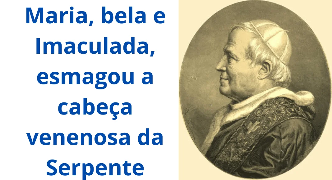 No momento, você está visualizando Pio IX, modelo de Papa que promove o bem e combate o mal