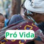 Breves: Namíbia pró Vida se mobiliza contra o aborto