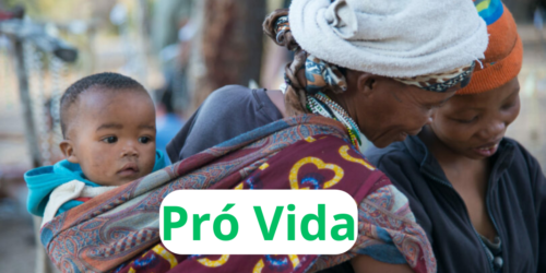 Breves: Namíbia pró Vida se mobiliza contra o aborto
