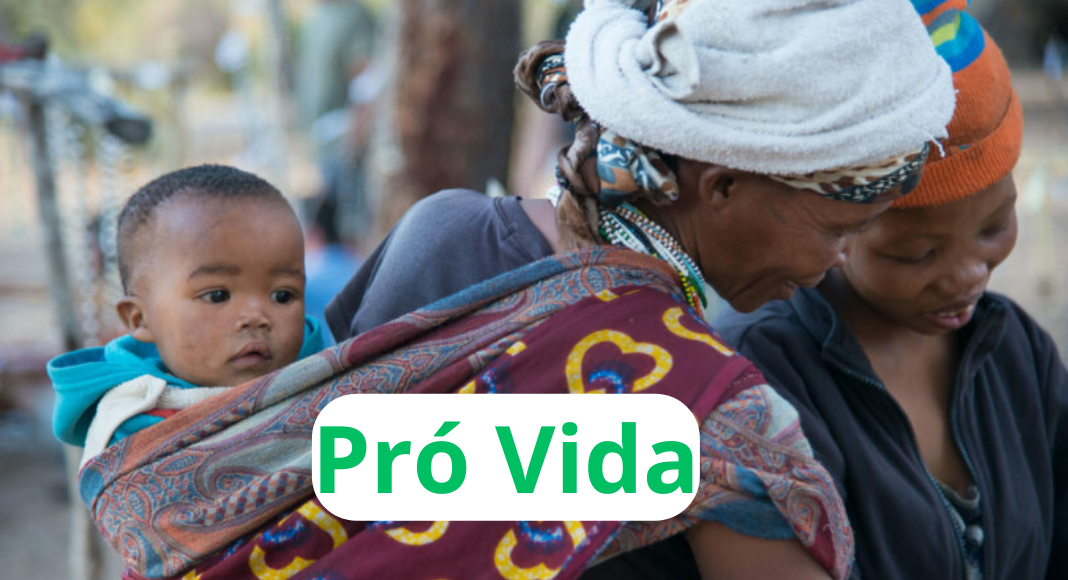 No momento, você está visualizando Breves: Namíbia pró Vida se mobiliza contra o aborto