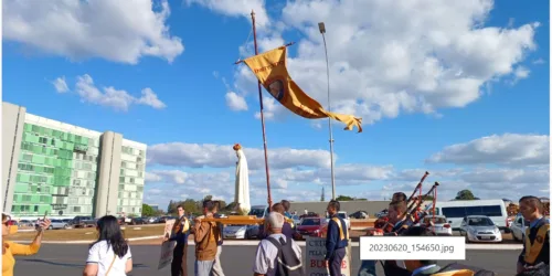 Marcha pela vida em Brasilia com a participação do IPCO