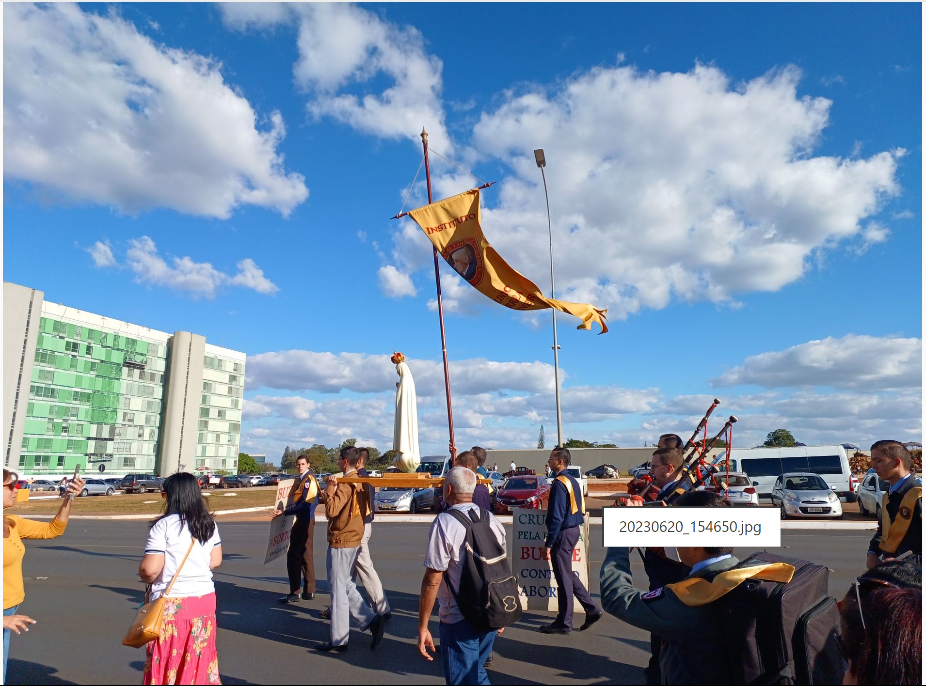 No momento, você está visualizando Marcha pela vida em Brasilia com a participação do IPCO