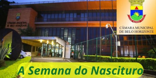 Câmara de BH derruba veto do prefeito e institui semana do nascituro