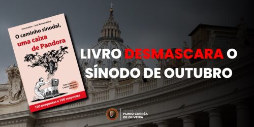 Livro DESMASCARA o Sínodo da Sinodalidade