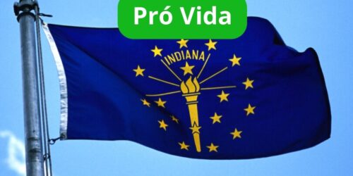 Indiana promete erradicar 95% dos abortos