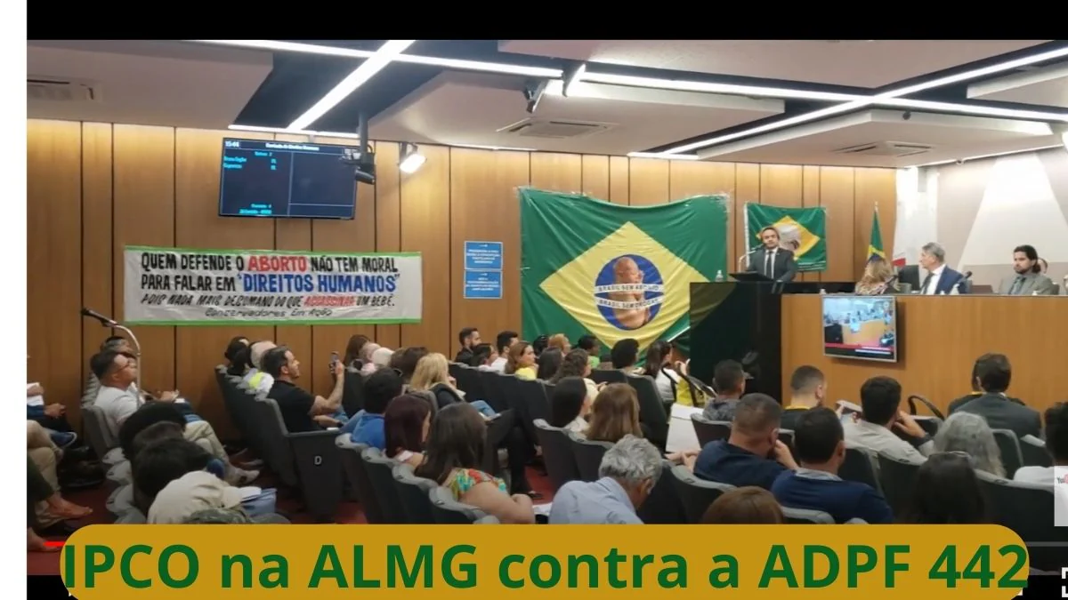 No momento, você está visualizando Ação do IPCO na Audiência sobre a ADPF 442 em BH