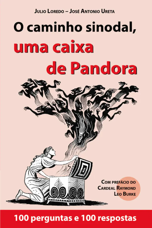 No momento, você está visualizando O Caminho Sinodal, caixa de pandora, declarações no avião  e a Pastoral D. Strickland
