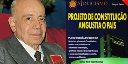 Lições de um best seller (II) Democracia representativa