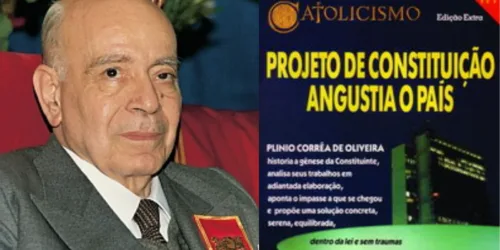 Lições de um best seller (I): democracia representativa, eleitorado com opinião