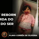 “Bebês” Reborn e a Perda do Senso do Ser