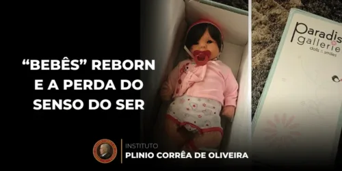 “Bebês” Reborn e a Perda do Senso do Ser