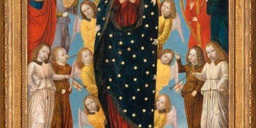 NOSSA SENHORA ASSUNTA AOS CÉUS PRIVILÉGIO ÚNICO NA HISTÓRIA