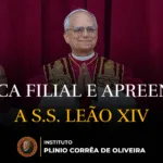Súplica filial e apreensiva a S.S. Leão XIV
