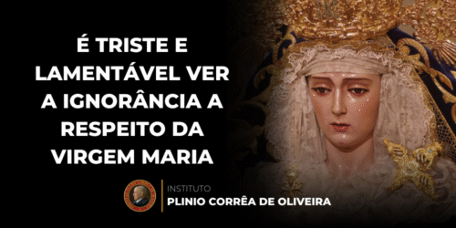 “É triste e lamentável ver a ignorância a Respeito da Virgem Maria” – São Luís Maria Grignion de Montfort
