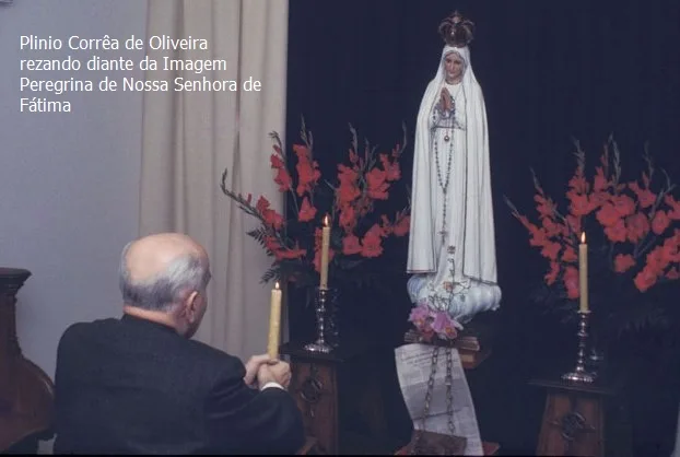 No momento, você está visualizando Alento para os contra-revolucionários