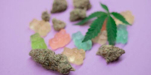 Maconha prejudica a memória e a inteligência especialmente em adolescentes, revela pesquisa