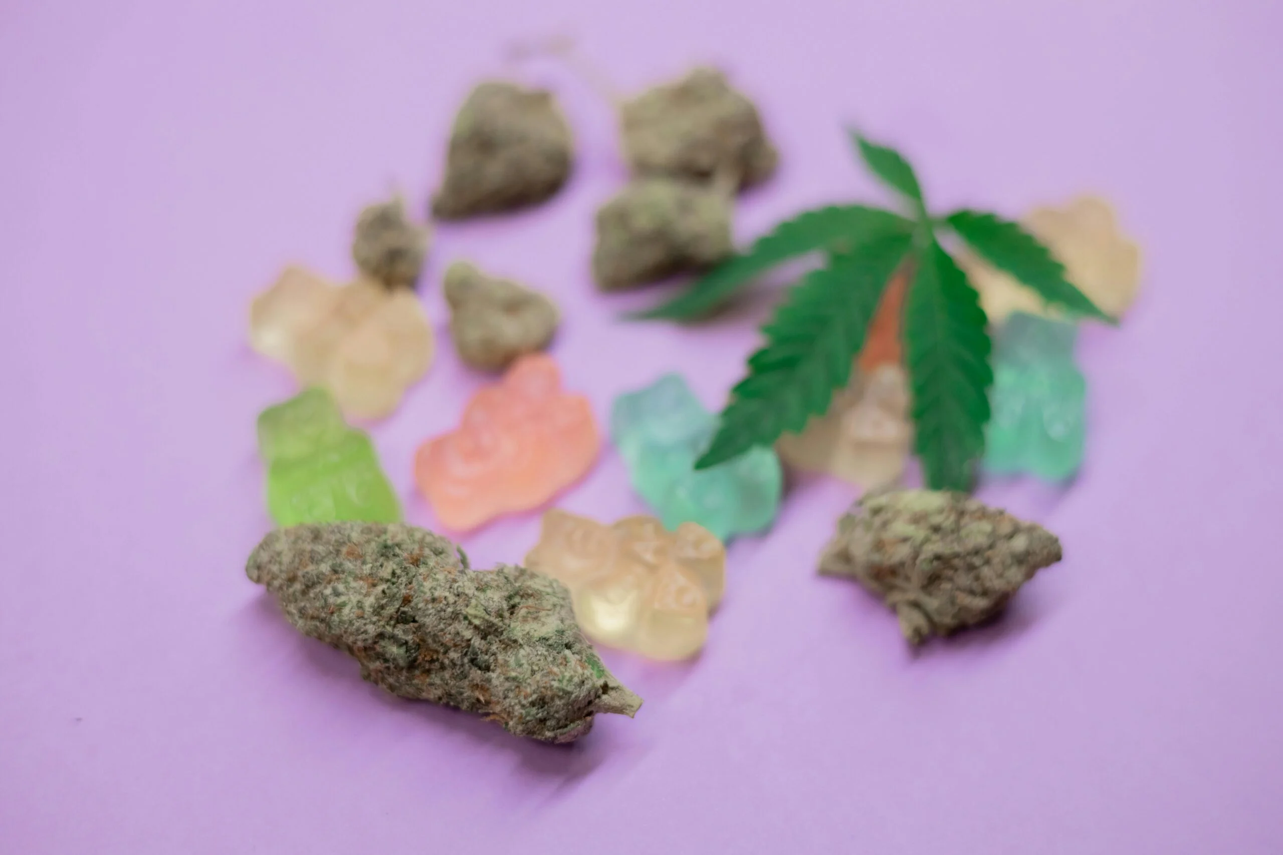 No momento, você está visualizando Maconha prejudica a memória e a inteligência especialmente em adolescentes, revela pesquisa