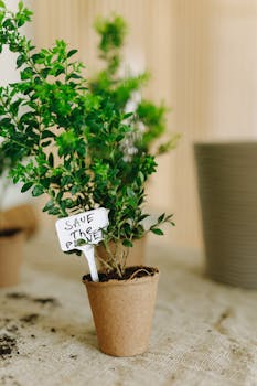No momento, você está visualizando “Direitos das plantas”: artifício para escravizar o homem racional