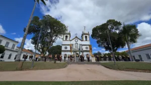 CARAVANAS: A Contra-Revolução nas ruas