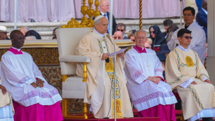 Carta aberta de Dom Rob Mutsaerts ao Papa Leão XIV: diante da confusão sobre a sinodalidade, Santo Padre, dai-nos clareza