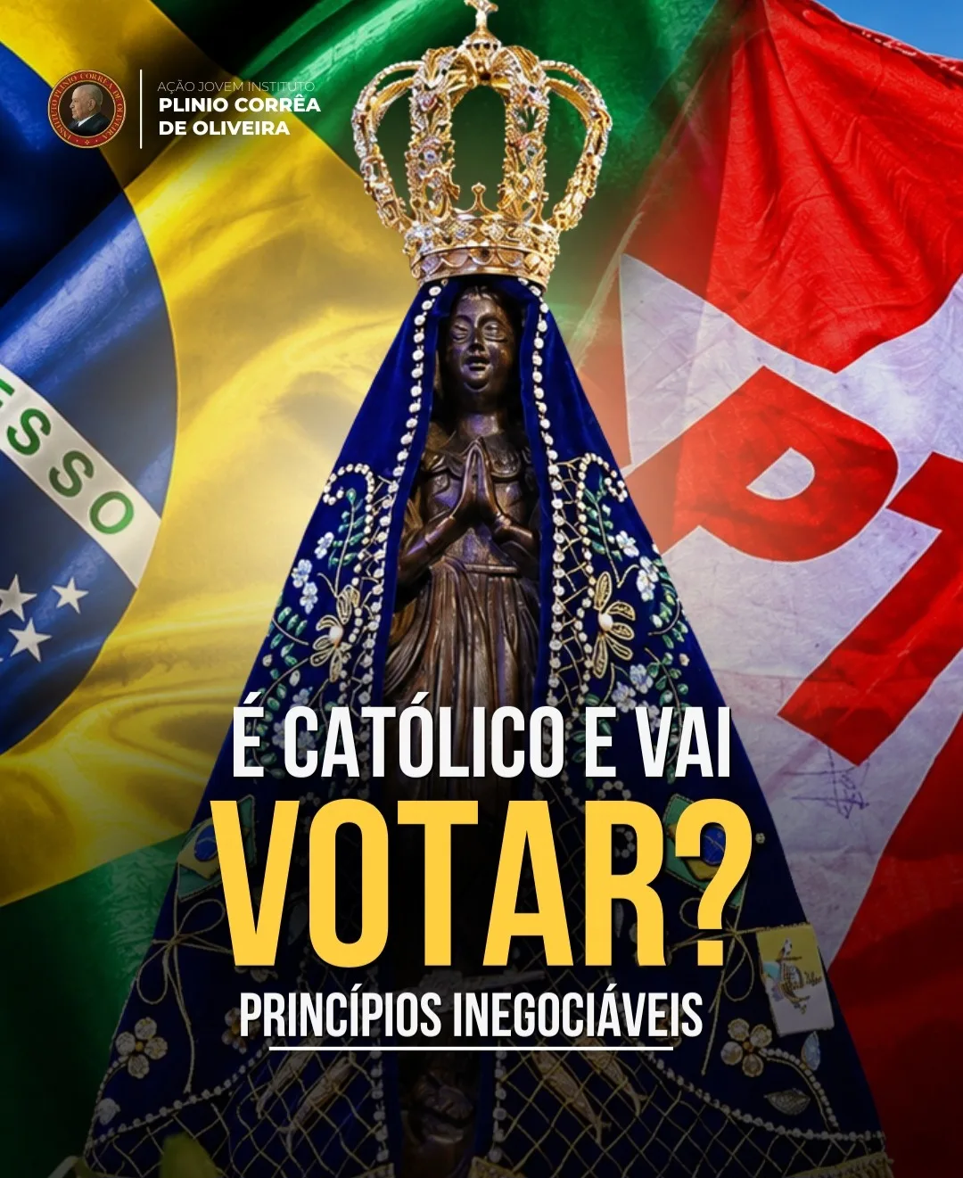 No momento, você está visualizando Princípios Inegociáveis – Eleições 2026